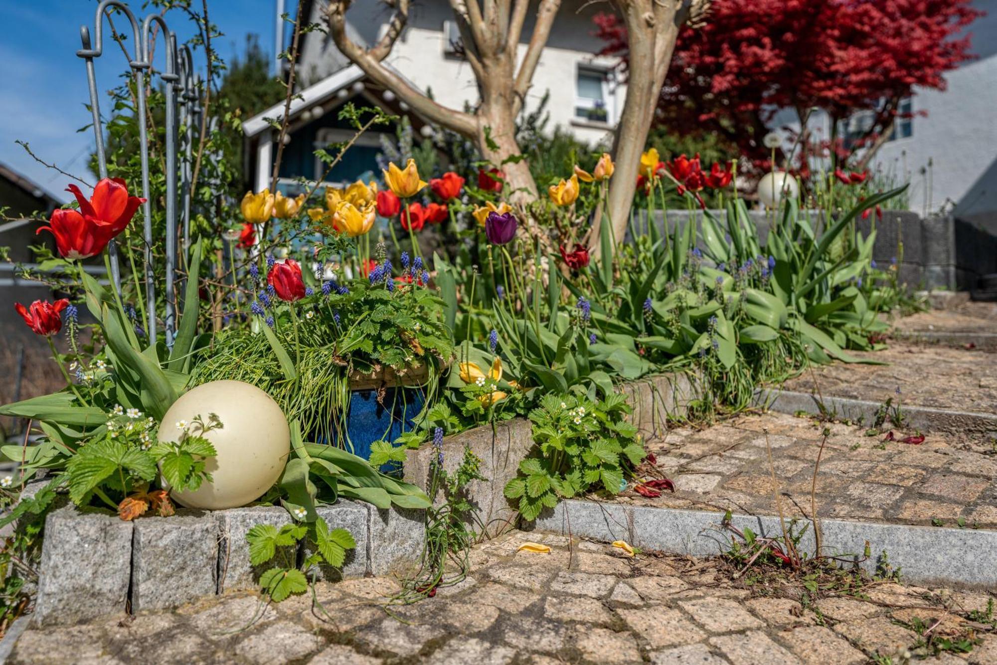 Ferienwohnung Drachenstein Weinheim Exterior foto